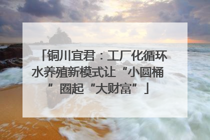 铜川宜君：工厂化循环水养殖新模式让“小圆桶”圈起“大财富”