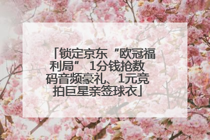 锁定京东“欧冠福利局” 1分钱抢数码音频豪礼、1元竞拍巨星亲签球衣