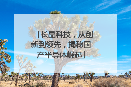 长晶科技，从创新到领先，揭秘国产半导体崛起