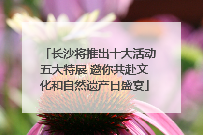 长沙将推出十大活动五大特展 邀你共赴文化和自然遗产日盛宴
