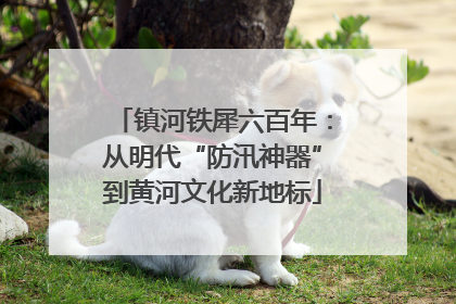 镇河铁犀六百年：从明代“防汛神器”到黄河文化新地标