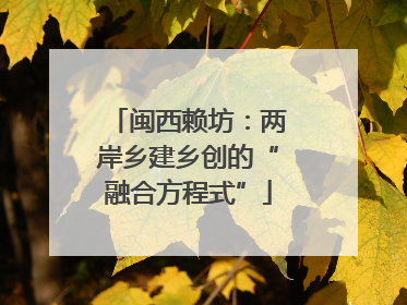 闽西赖坊：两岸乡建乡创的“融合方程式”