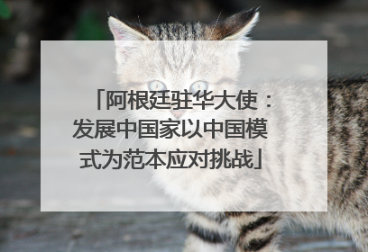 阿根廷驻华大使：发展中国家以中国模式为范本应对挑战