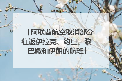 阿联酋航空取消部分往返伊拉克、约旦、黎巴嫩和伊朗的航班