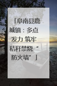 阜南县鹿城镇：多点发力 筑牢秸秆禁烧“防火墙”