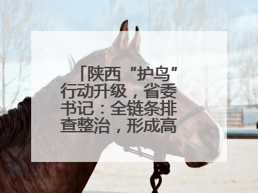 陕西“护鸟”行动升级，省委书记：全链条排查整治，形成高压震慑态势
