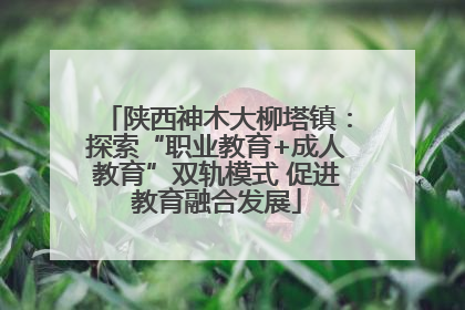 陕西神木大柳塔镇：探索“职业教育+成人教育”双轨模式 促进教育融合发展