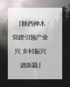 陕西神木：党建引领产业兴 乡村振兴谱新篇