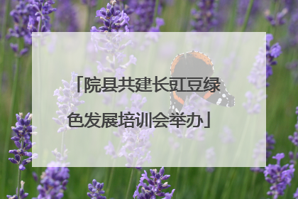 院县共建长豇豆绿色发展培训会举办