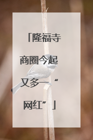 隆福寺商圈今起又多一“网红”