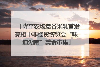 隆平农场袁谷米乳首发亮相中非经贸博览会“味道湖南”美食市集