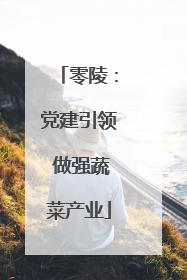 零陵：党建引领 做强蔬菜产业