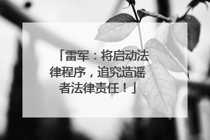 雷军：将启动法律程序，追究造谣者法律责任！