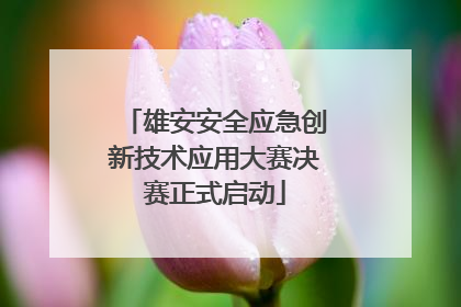 雄安安全应急创新技术应用大赛决赛正式启动