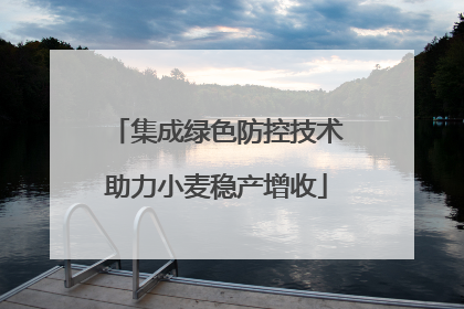 集成绿色防控技术助力小麦稳产增收
