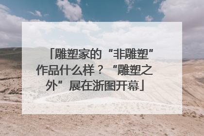 雕塑家的“非雕塑”作品什么样？“雕塑之外”展在浙图开幕