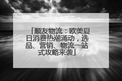 顺友物流：欧美夏日消费热潮涌动，选品、营销、物流一站式攻略来袭