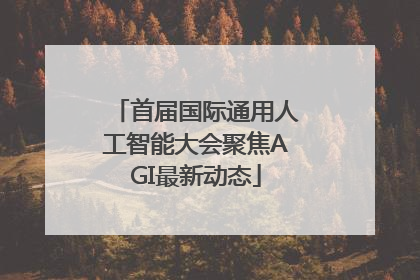 首届国际通用人工智能大会聚焦AGI最新动态