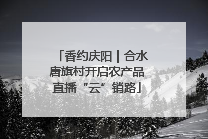 香约庆阳｜合水唐旗村开启农产品直播“云”销路