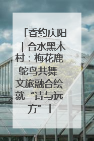 香约庆阳｜合水黑木村：梅花鹿鸵鸟共舞 文旅融合绘就“诗与远方”