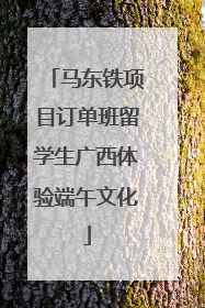马东铁项目订单班留学生广西体验端午文化
