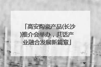 高安陶瓷产品(长沙)推介会举办，共话产业融合发展新篇章