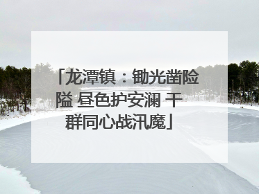 龙潭镇：锄光凿险隘 昼色护安澜 干群同心战汛魔