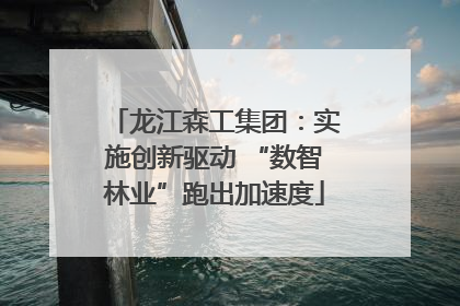 龙江森工集团：实施创新驱动 “数智林业”跑出加速度
