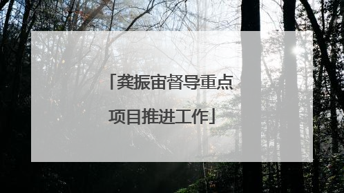 龚振宙督导重点项目推进工作