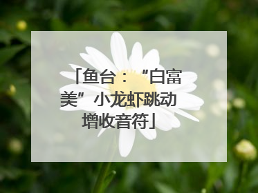 鱼台：“白富美”小龙虾跳动增收音符