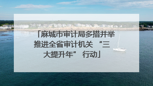 麻城市审计局多措并举推进全省审计机关 “三大提升年” 行动