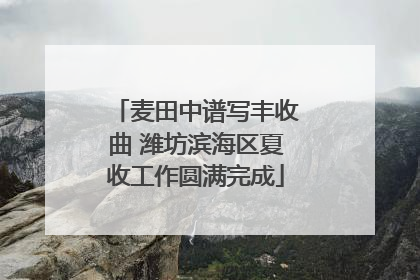 麦田中谱写丰收曲 潍坊滨海区夏收工作圆满完成
