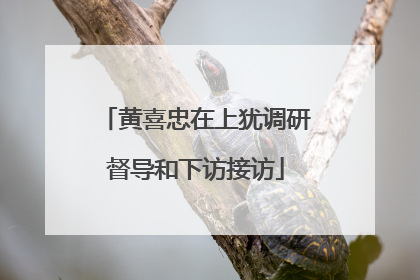 黄喜忠在上犹调研督导和下访接访