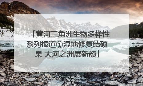 黄河三角洲生物多样性系列报道①湿地修复结硕果 大河之洲展新颜