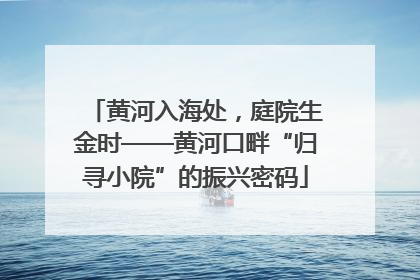 黄河入海处，庭院生金时——黄河口畔“归寻小院”的振兴密码