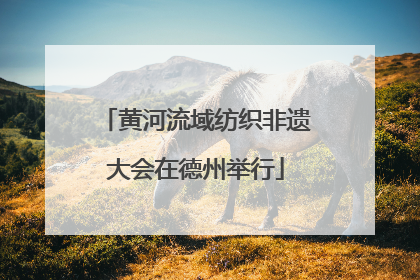 黄河流域纺织非遗大会在德州举行