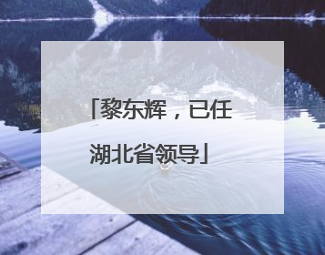 黎东辉，已任湖北省领导