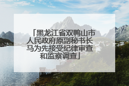 黑龙江省双鸭山市人民政府原副秘书长马为先接受纪律审查和监察调查