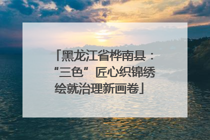 黑龙江省桦南县：“三色”匠心织锦绣 绘就治理新画卷