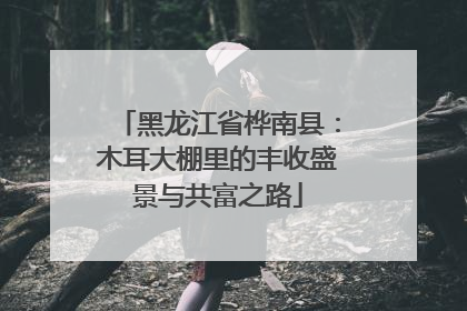 黑龙江省桦南县：木耳大棚里的丰收盛景与共富之路
