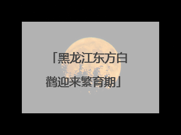黑龙江东方白鹳迎来繁育期