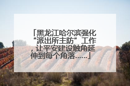 黑龙江哈尔滨强化“派出所主防”工作，让平安建设触角延伸到每个角落……