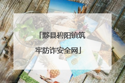 黟县碧阳镇筑牢防诈安全网