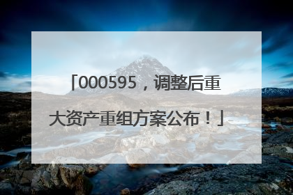 000595，调整后重大资产重组方案公布！