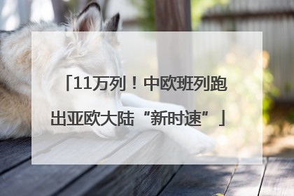11万列！中欧班列跑出亚欧大陆“新时速”