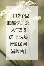 12个品牌破亿、总人气5.5亿 辛选集团618圆满收官