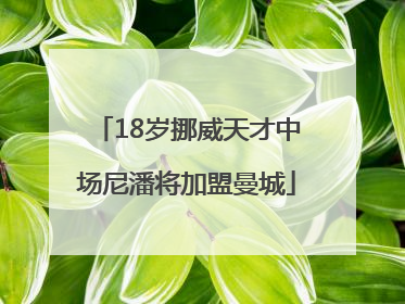 18岁挪威天才中场尼潘将加盟曼城