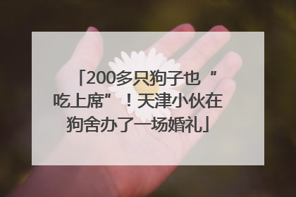 200多只狗子也“吃上席”！天津小伙在狗舍办了一场婚礼