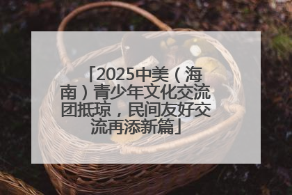 2025中美（海南）青少年文化交流团抵琼，民间友好交流再添新篇