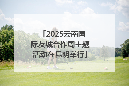 2025云南国际友城合作周主题活动在昆明举行